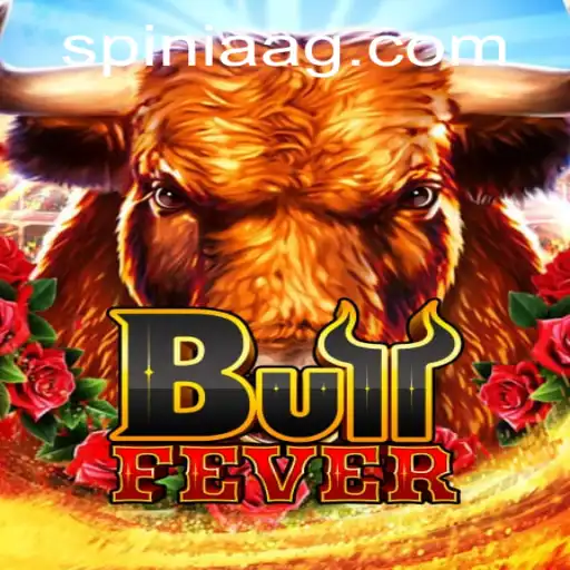 Discover the Excitement of BullFever: Rules and Gameplay Insights